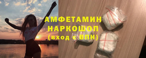 стаф Бородино