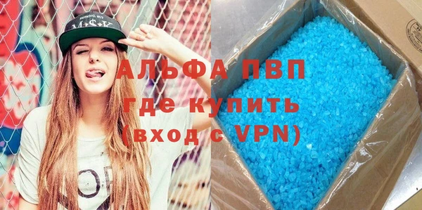 стаф Бородино