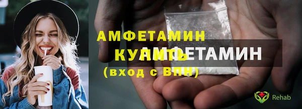стаф Бородино