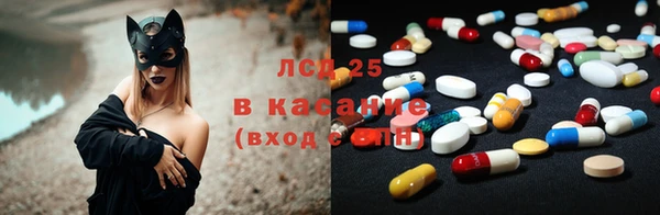 стаф Бородино
