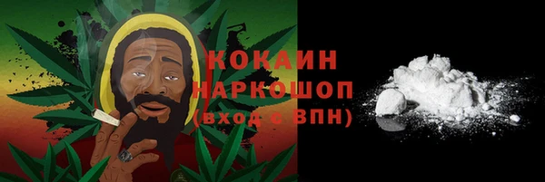 стаф Бородино