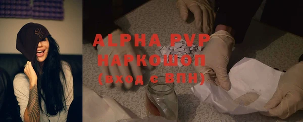 стаф Бородино
