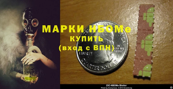стаф Бородино