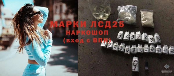 стаф Бородино