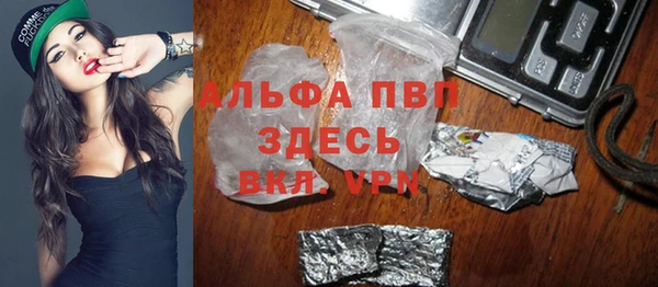 стаф Бородино