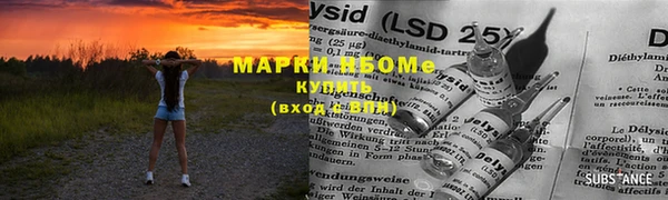 стаф Бородино