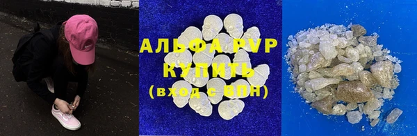 стаф Бородино