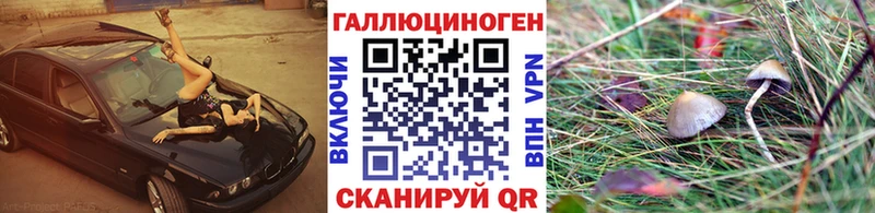 Галлюциногенные грибы мицелий  блэк спрут зеркало  Кологрив 